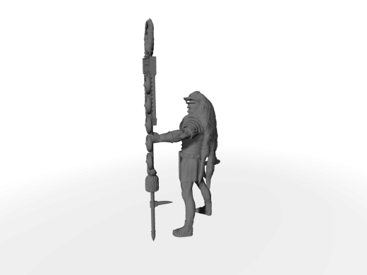 Römischer Signifer IV Träger des Signum